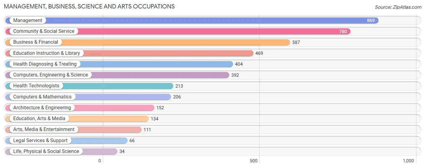 Management, Business, Science and Arts Occupations in Sun City Center