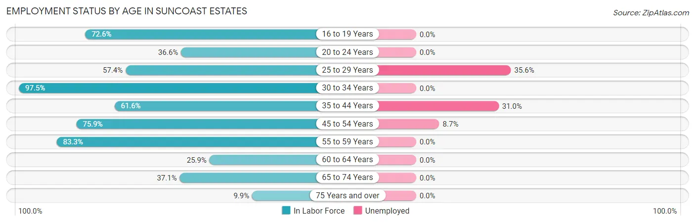Employment Status by Age in Suncoast Estates