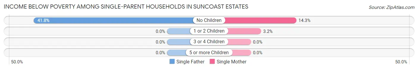 Income Below Poverty Among Single-Parent Households in Suncoast Estates