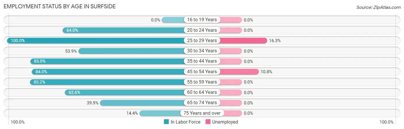 Employment Status by Age in Surfside