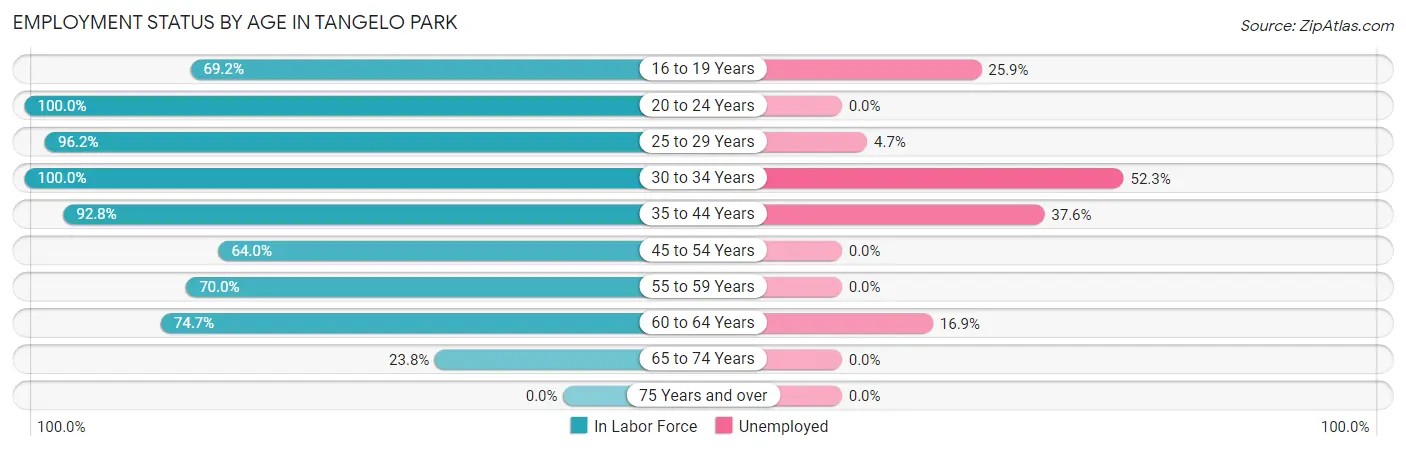 Employment Status by Age in Tangelo Park