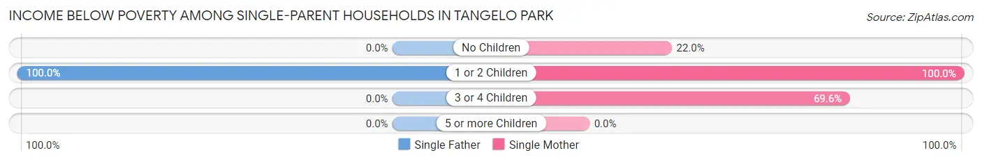 Income Below Poverty Among Single-Parent Households in Tangelo Park