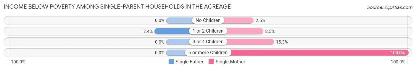 Income Below Poverty Among Single-Parent Households in The Acreage