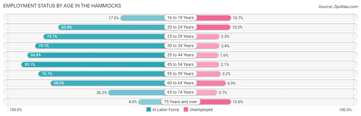 Employment Status by Age in The Hammocks