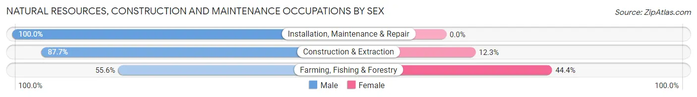 Natural Resources, Construction and Maintenance Occupations by Sex in The Hammocks