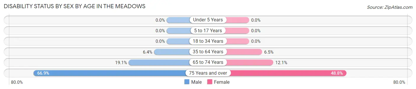 Disability Status by Sex by Age in The Meadows