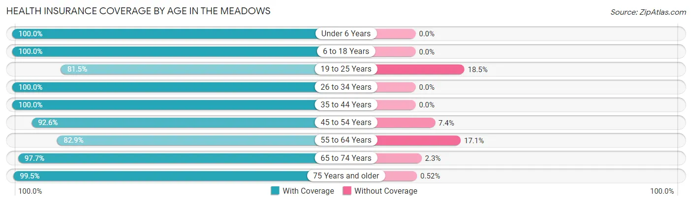 Health Insurance Coverage by Age in The Meadows