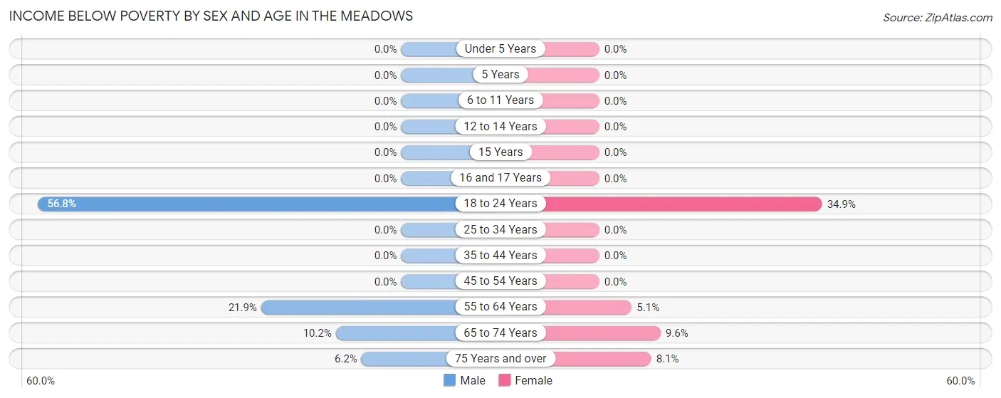 Income Below Poverty by Sex and Age in The Meadows
