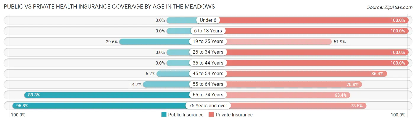 Public vs Private Health Insurance Coverage by Age in The Meadows
