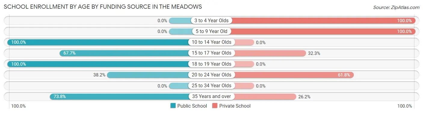 School Enrollment by Age by Funding Source in The Meadows