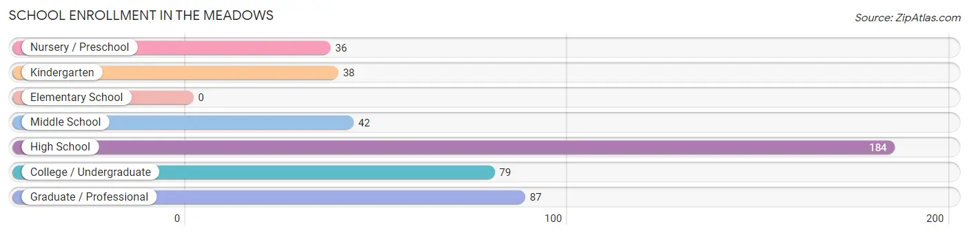 School Enrollment in The Meadows