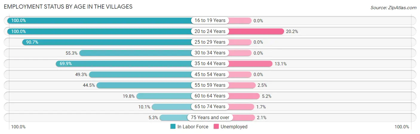 Employment Status by Age in The Villages