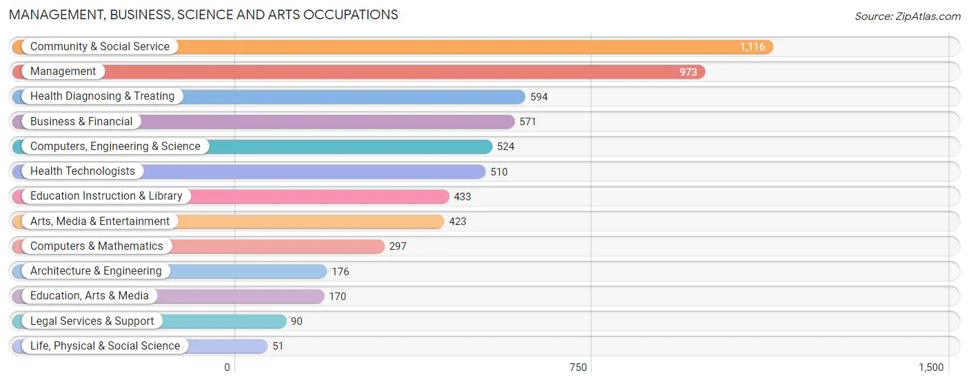 Management, Business, Science and Arts Occupations in The Villages