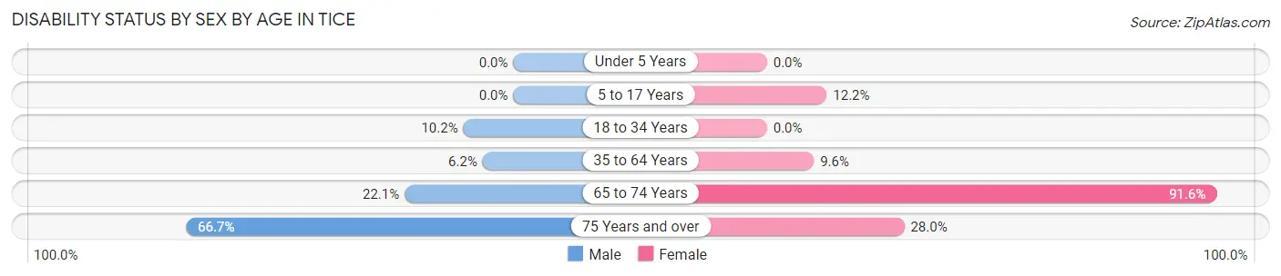 Disability Status by Sex by Age in Tice