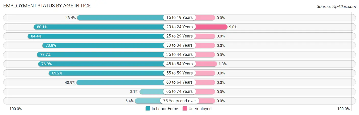 Employment Status by Age in Tice