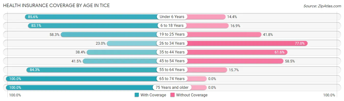 Health Insurance Coverage by Age in Tice