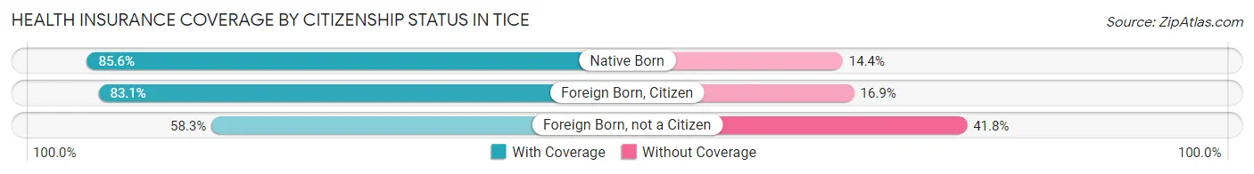 Health Insurance Coverage by Citizenship Status in Tice