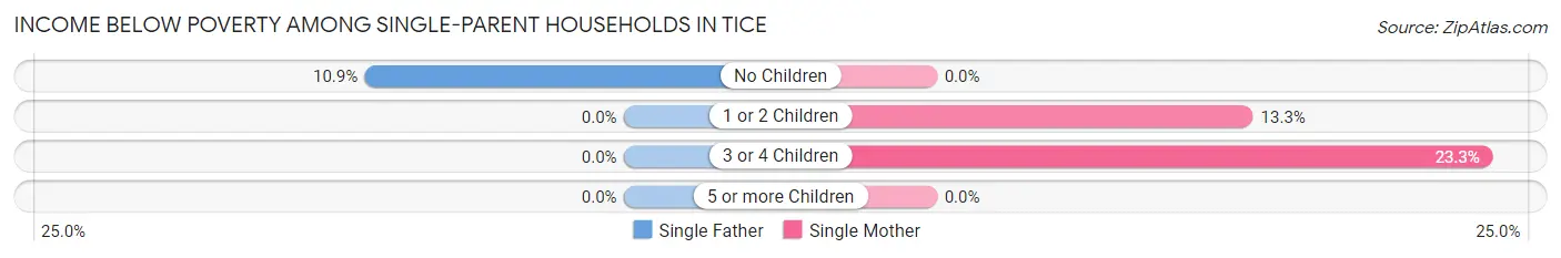 Income Below Poverty Among Single-Parent Households in Tice
