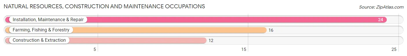 Natural Resources, Construction and Maintenance Occupations in Treasure Island