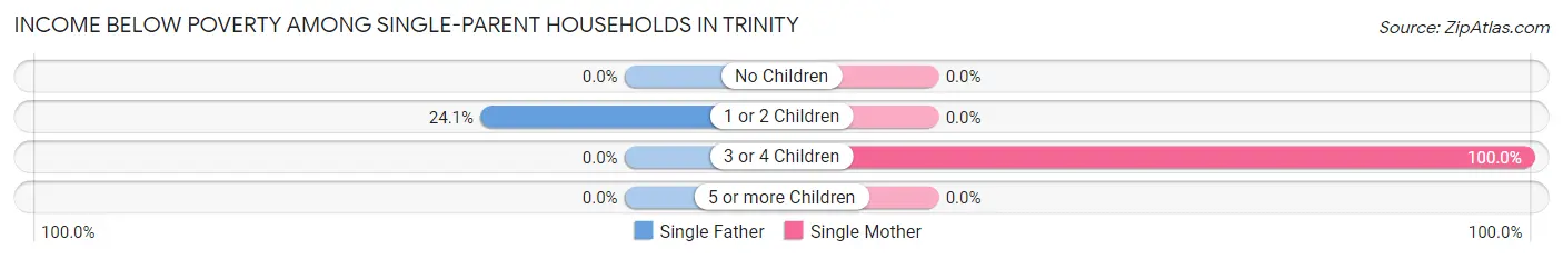 Income Below Poverty Among Single-Parent Households in Trinity