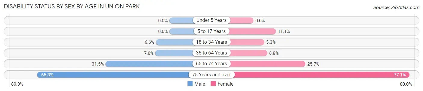 Disability Status by Sex by Age in Union Park