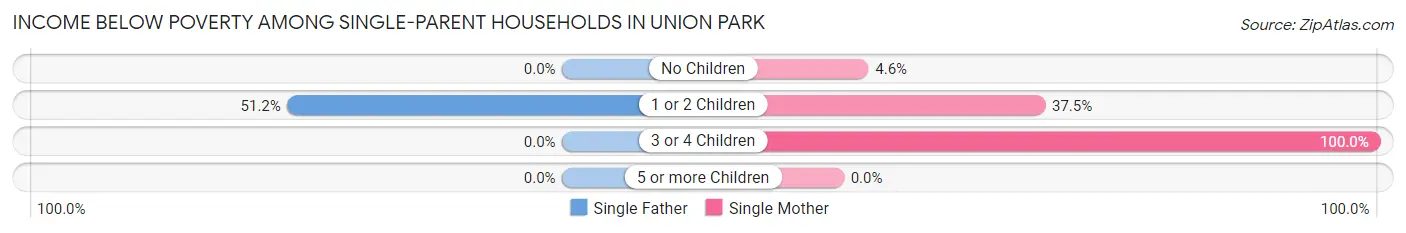Income Below Poverty Among Single-Parent Households in Union Park