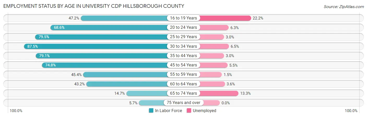 Employment Status by Age in University CDP Hillsborough County