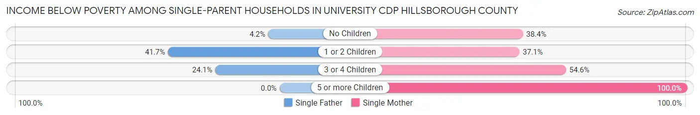 Income Below Poverty Among Single-Parent Households in University CDP Hillsborough County
