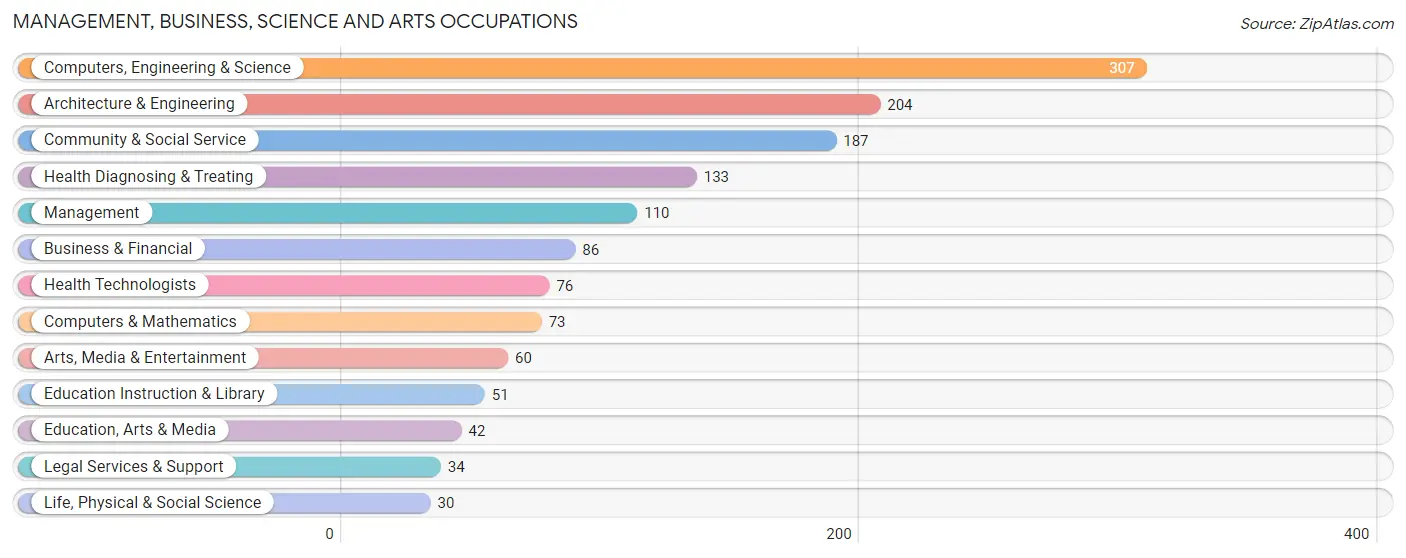 Management, Business, Science and Arts Occupations in Valparaiso