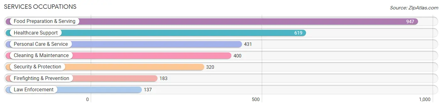 Services Occupations in Valrico