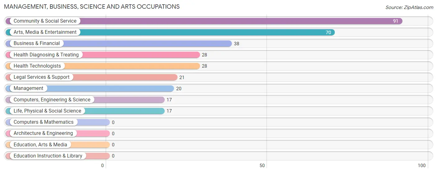 Management, Business, Science and Arts Occupations in Vamo