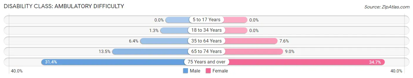 Disability in Vero Beach South: <span>Ambulatory Difficulty</span>