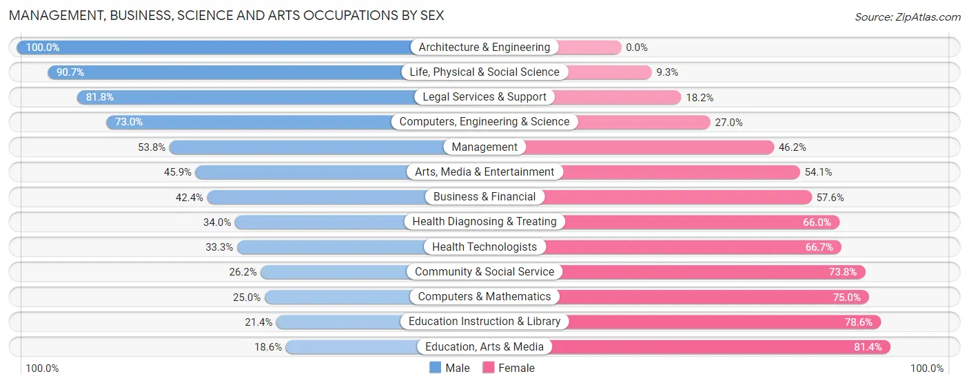 Management, Business, Science and Arts Occupations by Sex in Villas