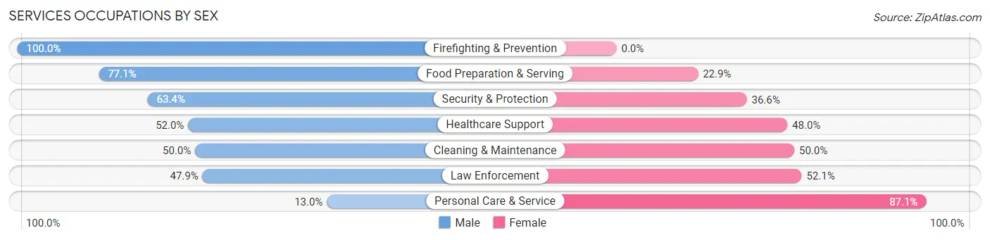 Services Occupations by Sex in Villas
