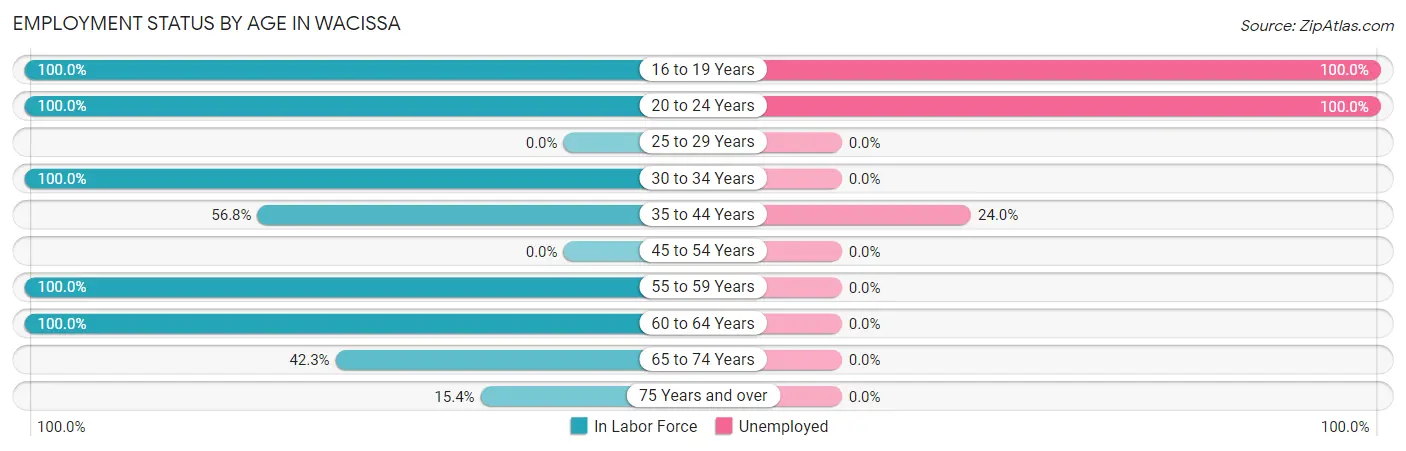 Employment Status by Age in Wacissa