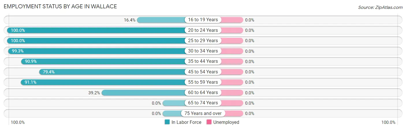 Employment Status by Age in Wallace