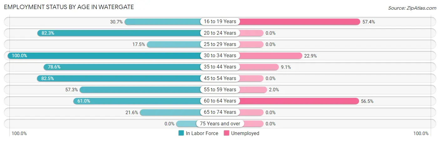 Employment Status by Age in Watergate