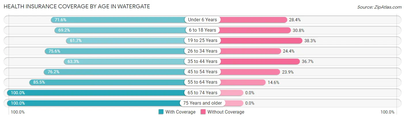 Health Insurance Coverage by Age in Watergate