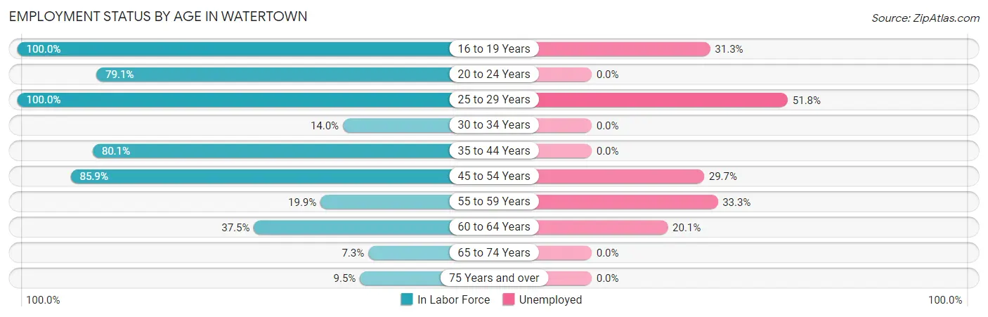 Employment Status by Age in Watertown