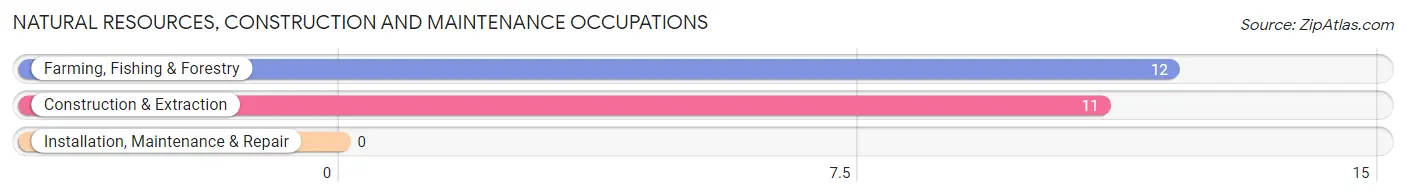 Natural Resources, Construction and Maintenance Occupations in Wausau