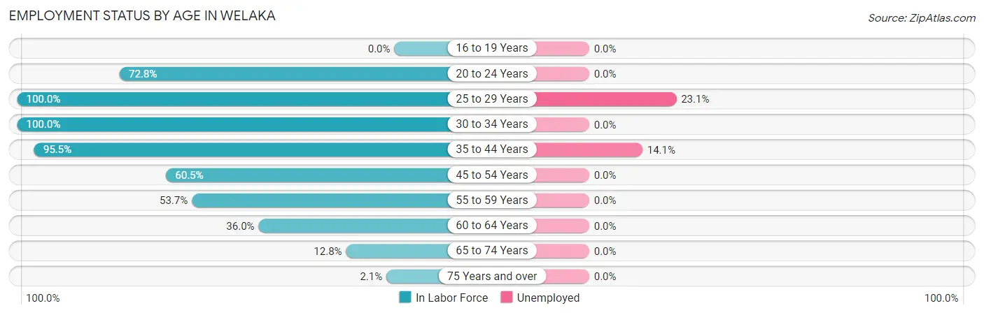 Employment Status by Age in Welaka