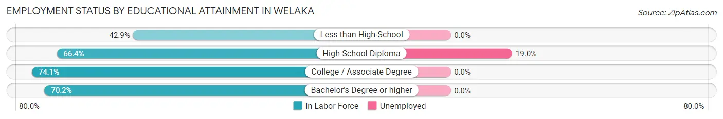Employment Status by Educational Attainment in Welaka