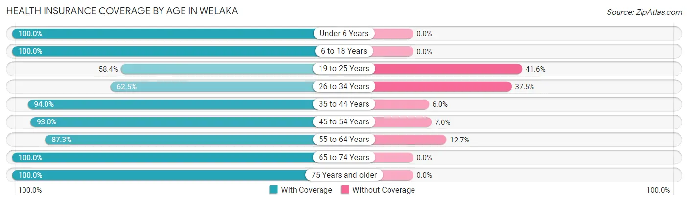 Health Insurance Coverage by Age in Welaka