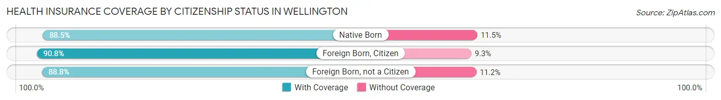 Health Insurance Coverage by Citizenship Status in Wellington