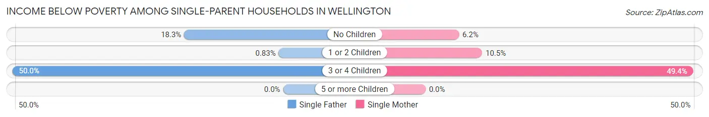 Income Below Poverty Among Single-Parent Households in Wellington