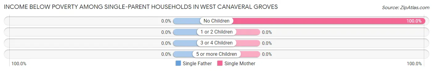 Income Below Poverty Among Single-Parent Households in West Canaveral Groves