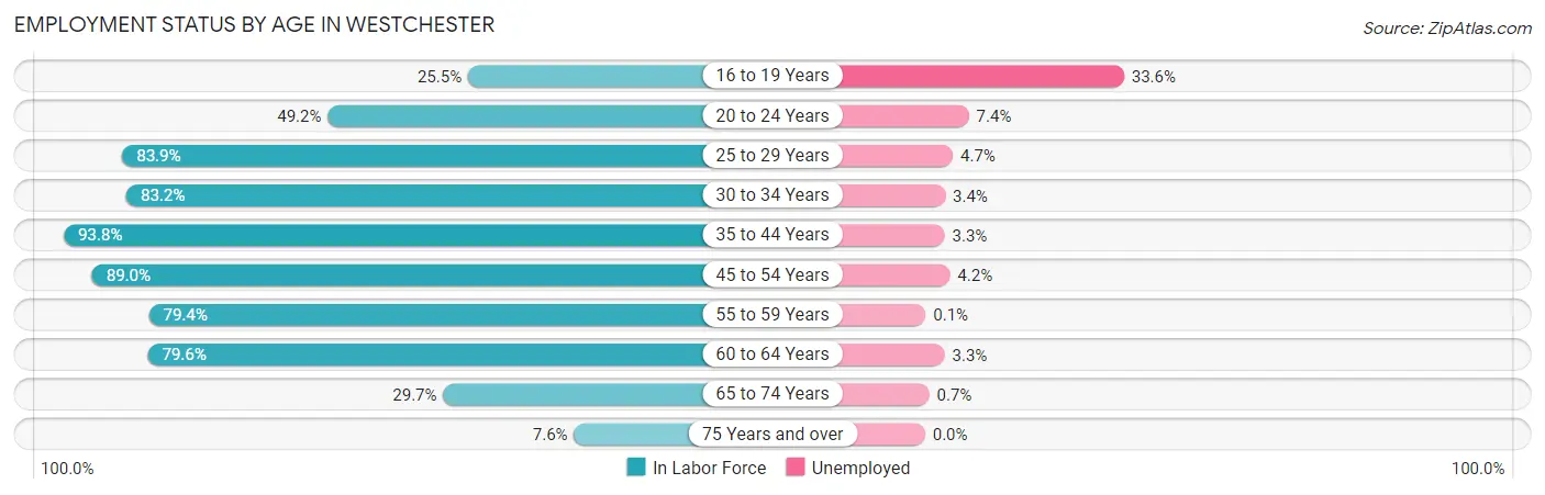 Employment Status by Age in Westchester