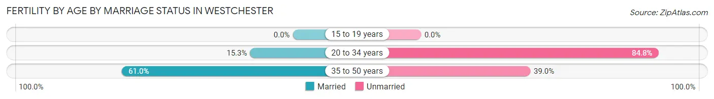 Female Fertility by Age by Marriage Status in Westchester