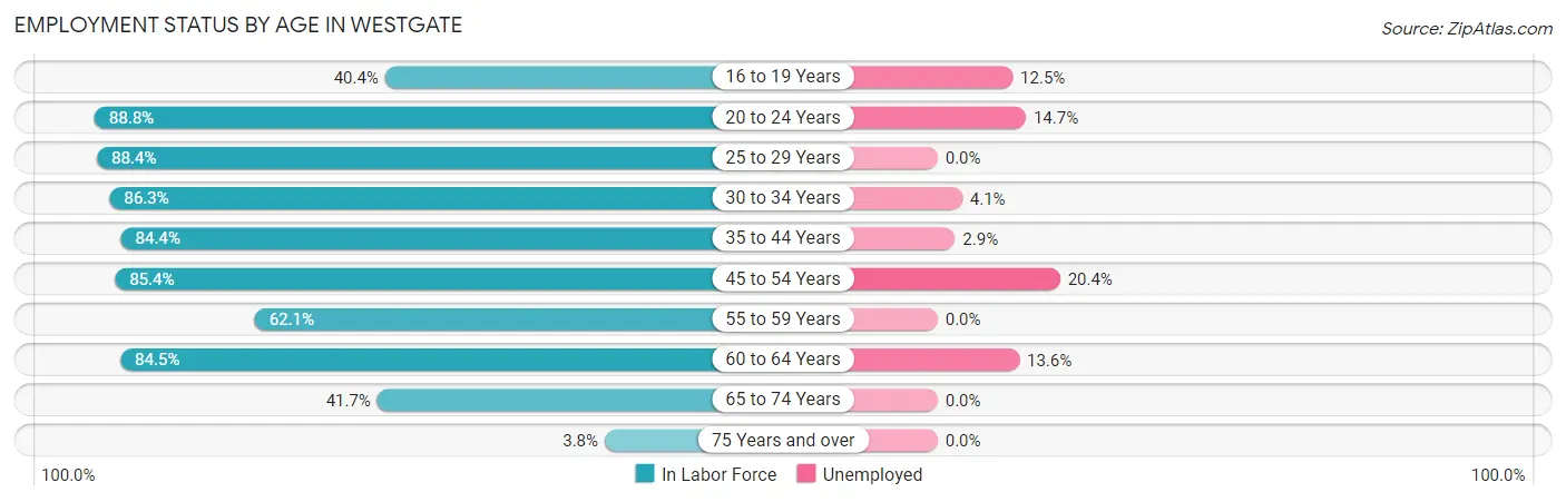 Employment Status by Age in Westgate