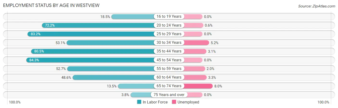 Employment Status by Age in Westview